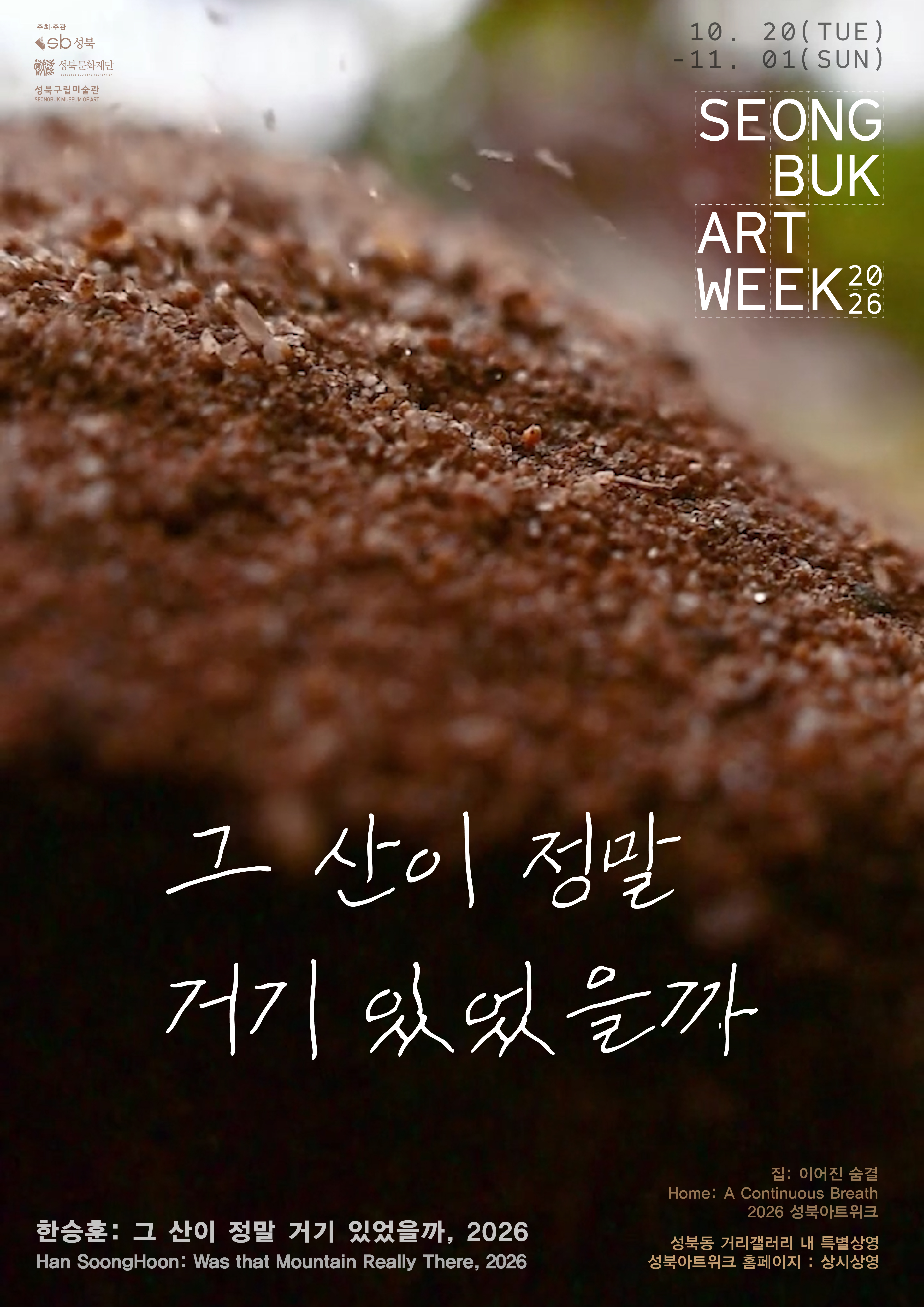 《그 산이 정말 거기 있었을까》 포스터
